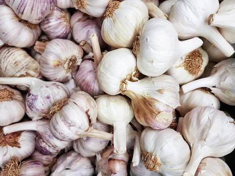 Large group of garlic Foto stock