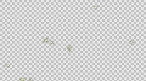 A Large Group of Glowing  Little Fairies Flying in Alpha Matte Stock Footage 59703342