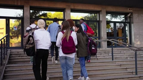 Large group happy students seen with backs turned climbing stairs to enter Stock Footage 316966623