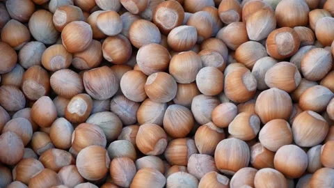Large Group Of Hazelnuts In Shell Stock Footage 195989388