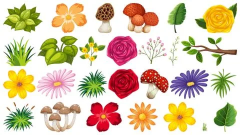 Large group of isolated objects theme - flowers Stock Illustration