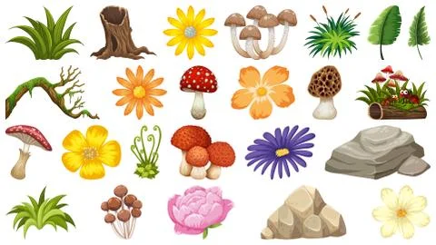Large group of isolated objects theme - nature Stock Illustration