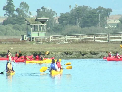 Large group of kayakers Stock-Footage 940042