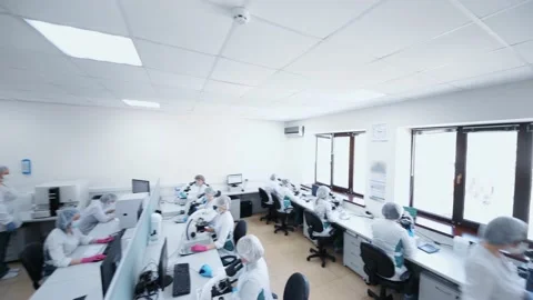 Large group or team of laboratory scientists sit at microscopes and examine Stock Footage 190076674