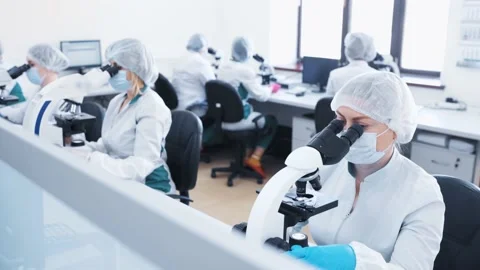 Large group or team of laboratory scientists in sterile masks sit at microscopes Stock-Footage 190078509