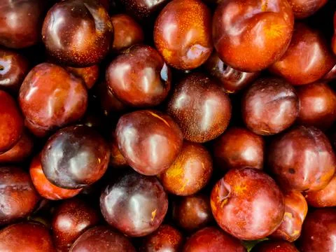 Large group of plum fruit Stock Photos