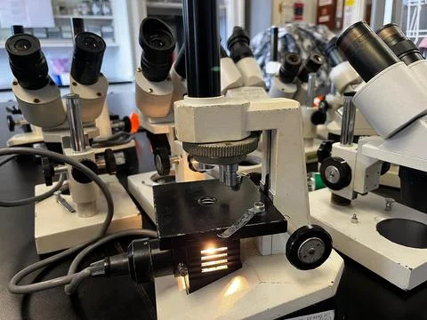 Large group of professional optical microscopes in a modern laboratory. Stock Photos