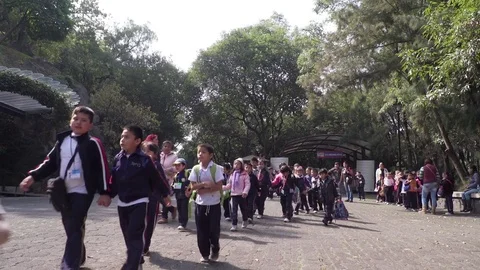Large group of schoolchildren on field trip in mexico city Stock Footage 84812173
