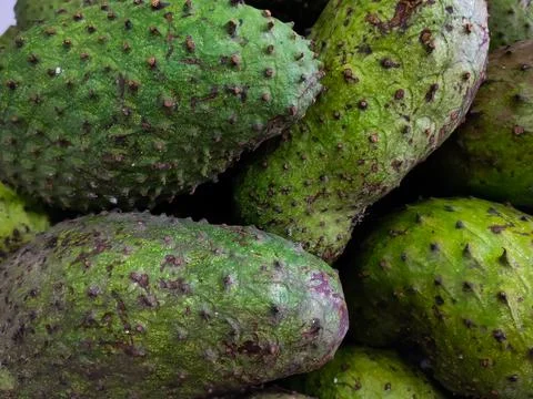 Large group of soursop Stock Photos
