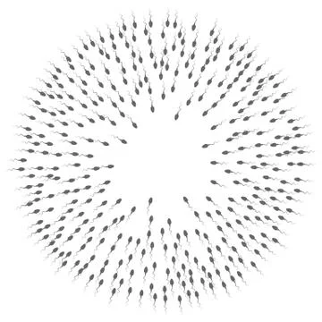A large group of spermatozoa flows towards the target Stock Illustration