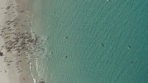 Large group of swimmers begin group swim in beautiful clear sea water Stock Footage 131124958