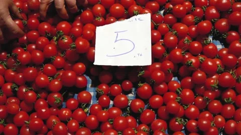 Large Group Of Tomatoes With A Price Tag At The Market Taken By Seller's Hands Stock Footage 195989451