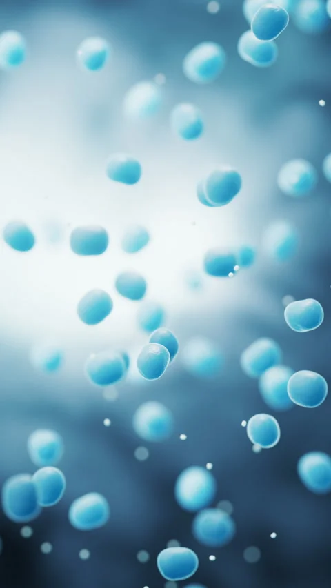 Large groups of bacterium with blue background, 3d rendering. Stock Footage 346742025
