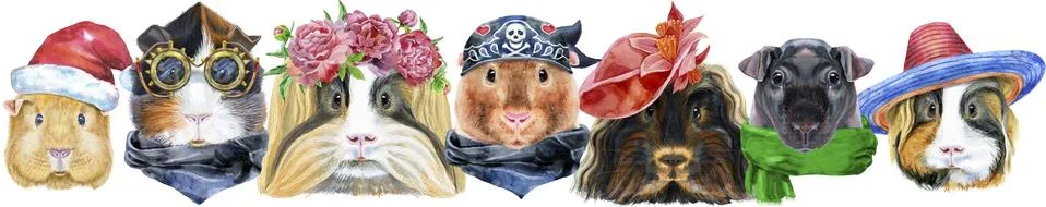 Large guinea pigs border set, pet portraits Stock Illustration