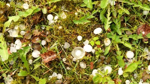 Large hail Stock Footage 89755384