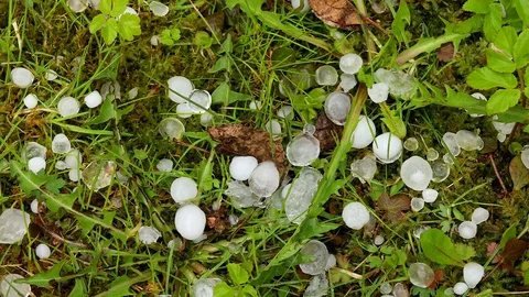 Large hail Stock Footage 89755396