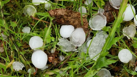 Large hail Stock Footage