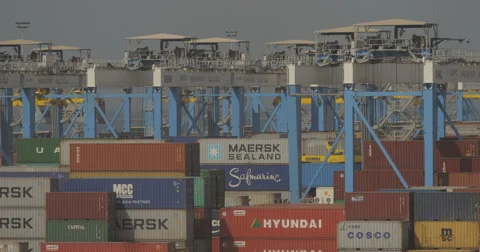 Large Harbor Cranes In Container Terminal (4K) Stock Footage 63085539