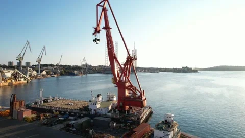 Large harbor cranes in the port Vidéo 170443776