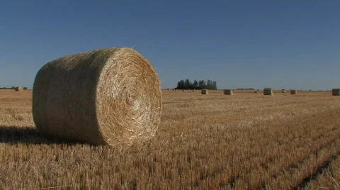 Large hay bale Stock Footage 527817