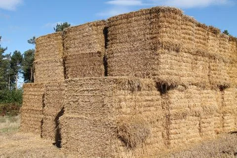 Large Hay Stack. Stock Photos