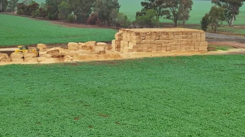 Large haystack beside green paddock and gum trees Stock Footage 336992414