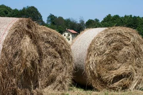 Large haystacks round Stock Photos