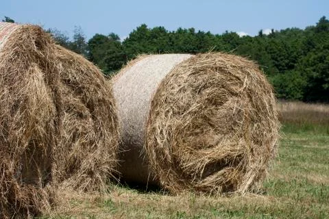 Large haystacks round Foto stock