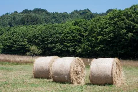 Large haystacks round Stock Photos