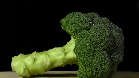 Large Head of Broccoli Isolated Stock Footage 104004725