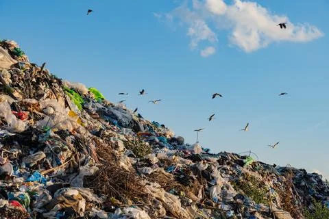A large heap of garbage overflowing with plastic waste and debris sits. Stockfoto's