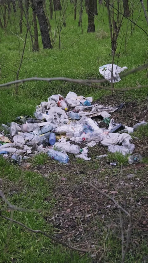 Large Heap of Plastic Bottles and Trash Polluting Woods Stock Footage 323474585