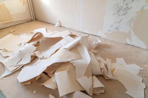 Large heap of stripped wallpaper spread across carpeted room floor Stock Photos