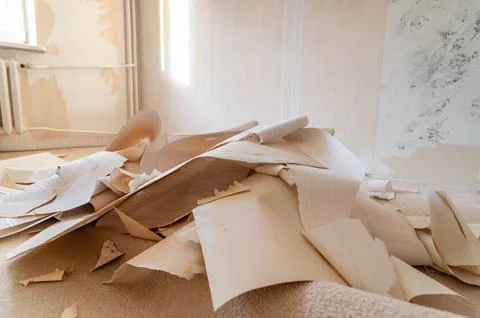 Large heap of stripped wallpaper spread across carpeted room floor Stock Photos