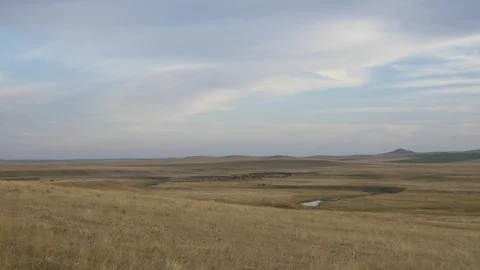 Large heard of Bison in vast landscape 動画素材 88430731