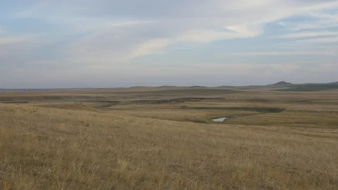Large heard of Bison in vast landscape 動画素材 88430744