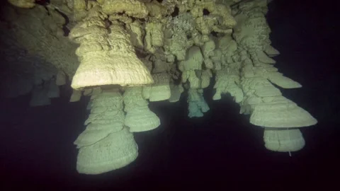 Large Hells Bells hang beneath a rough cenote ceiling Stock Footage 341394827