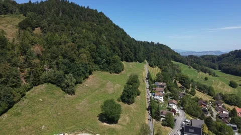 Large herd of cows descending alpine mountain road in Switzerland Stock Footage 341840313