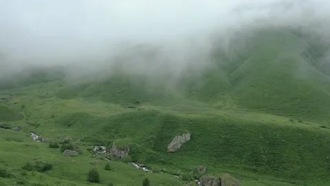 Large herd of wild sheep rams are walking along high mountain sunny slope. 库存影片 237775486