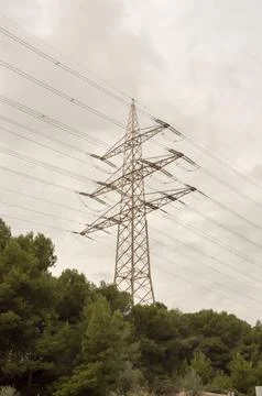 Large high voltage electrical tower that stands out among the pines Stock Photos