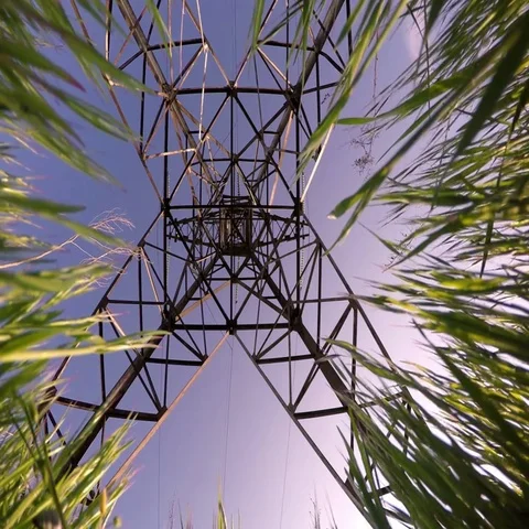 Large high-voltage transmission lines - bottom view from grass Video stock 69548180
