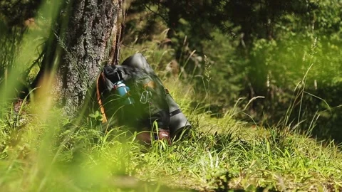 A large hiking backpack stands leaning against a tree in the forest Stock Footage 271515265