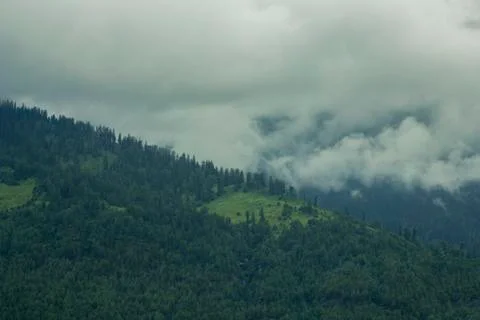 A large hill with a forest Stock Photos