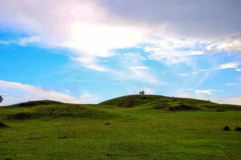 A large hill with a tree on top of it Stock Photos