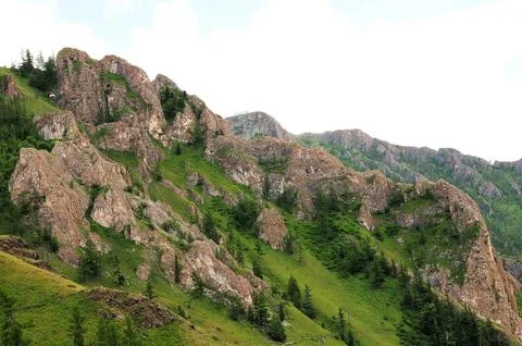 A large hilly massif with access to the surface of the rock with rare pine .. Stock Photos