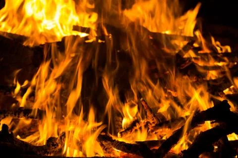 Large hot campfire Фото
