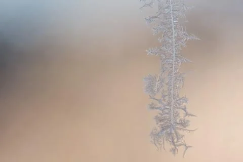 Large ice crystal Stock Photos