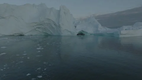 Large Iceberg with Cave Carved Into it Aerial Stock Footage 292940025