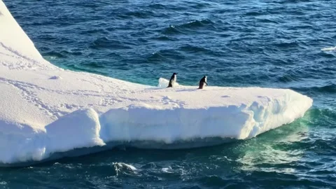 Large iceberg floating in deep blue ocean water in the Arctic. Stock Footage 341960529