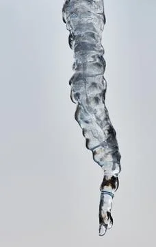 Large icicle in December Stock Photos
